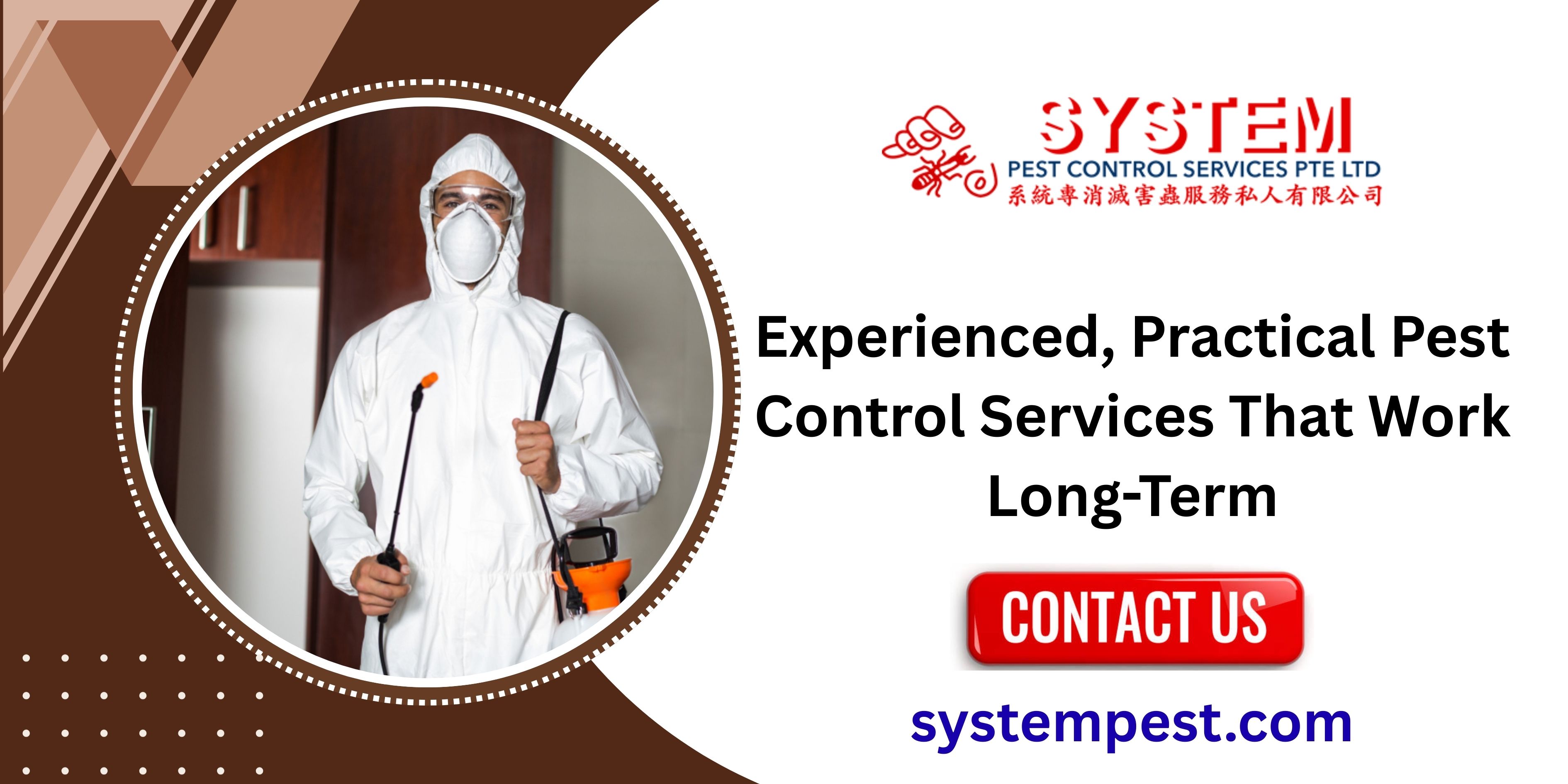 Experienced, Practical Pest Control Services That Work Long-Term